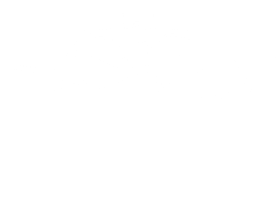 Border Model Aircraft Club Logo